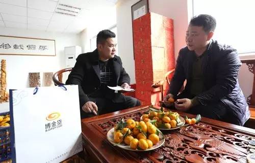 1489028191065019689.jpg 04-业务员许鸿和走访珊琍信息服务有限公司负责人了解橘农和市场情况.jpg